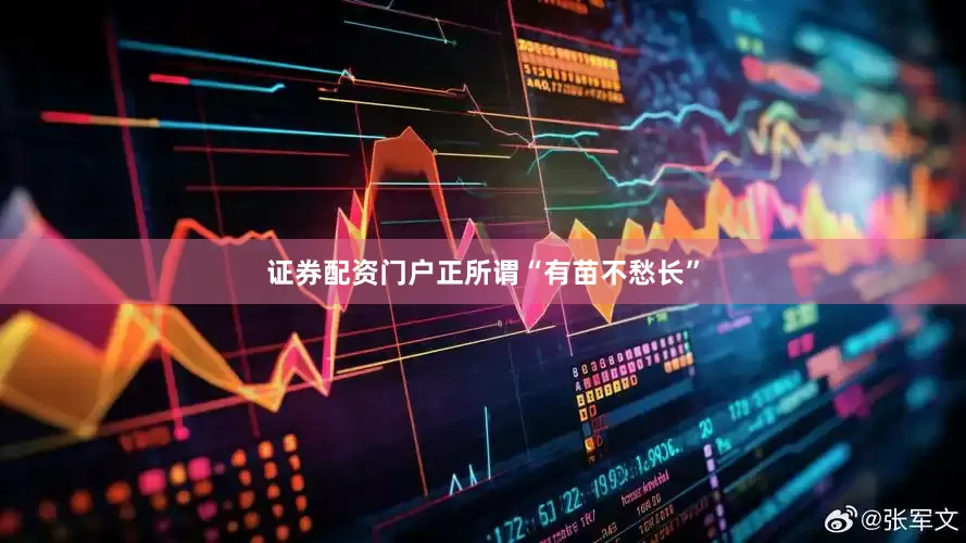 证券配资门户正所谓“有苗不愁长”