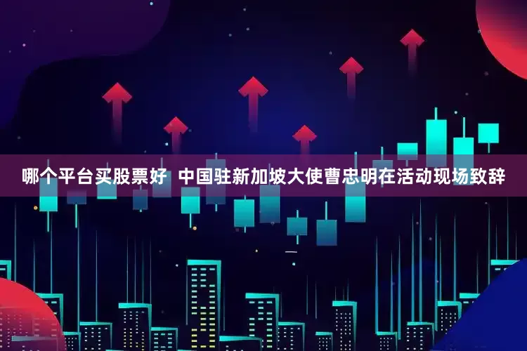哪个平台买股票好  中国驻新加坡大使曹忠明在活动现场致辞