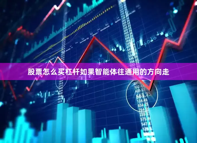 股票怎么买杠杆如果智能体往通用的方向走