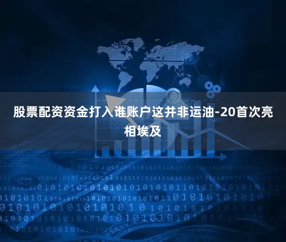 股票配资资金打入谁账户这并非运油-20首次亮相埃及